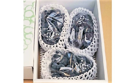 ぶどう(ピオーネ)2kg 0009-2502 313564 - 山形県上山市