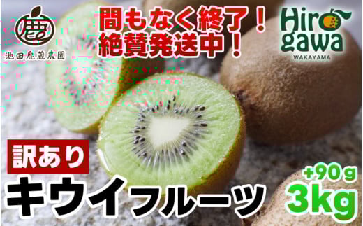 キウイ 家庭用 3kg+90g（傷み補償分） / キウイフルーツ 国産 訳あり 訳アリ わけあり ヘルシー ダイエット フルーツ 果物 和歌山 すぐ届く  ※11月中旬～6月中旬に順次発送 ※北海道・沖縄・離島への配送不可【ikd505-c-3A】 2108801 - 和歌山県広川町