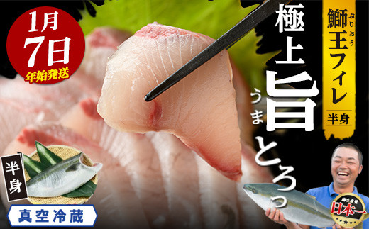 ＜数量限定＞【2026年1月7日発送】『旅サラダ』で紹介ぶりの王様「 鰤王 」 フィレ 半身 (約1.3〜1.5kg・フィレ1枚) 産地直送 新鮮 旨味が抜群の 長島町 特産品 ブランド ぶり 鰤 ブリ 切り身 真空 冷蔵 刺身 ぶりしゃぶ しゃぶしゃぶ 魚 魚介 人気 ランキング 年末年始発送 【JFA】jfa-7f-0107
