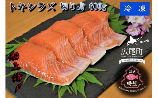 船上活締め　時知らず（時鮭）切り身　600g　【鮭　時鮭　時知らず　ときしらず　トキシラズ　活締め　活〆　活じめ　新鮮　焼き魚　バーベキュー　ＢＢＱ　冷凍　小分け　便利　北海道　魚　ふるさと納税　北海道】(0080)