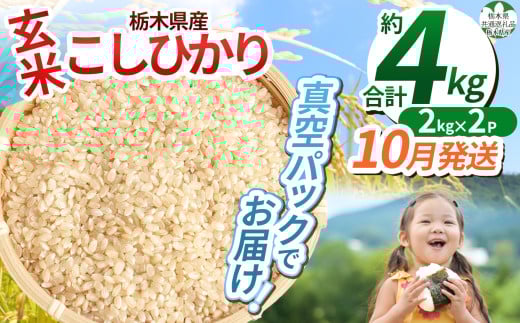 【先行予約】【令和7年度新米】【毎月500個限定！】【栃木県共通返礼品】 栃木県産こしひかり 2kg×2（玄米真空パック）10月分 | 新米 こしひかり 玄米 米 ごはん  冷めてもおいしい ふるさと納税 那珂川町 栃木県