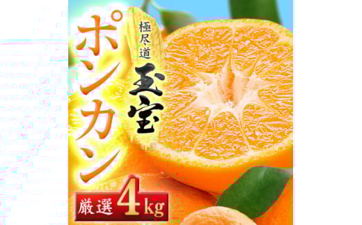 ＜愛媛名産＞玉宝ポンカン　4kg＜C64-65＞【1621807】 2110484 - 愛媛県八幡浜市