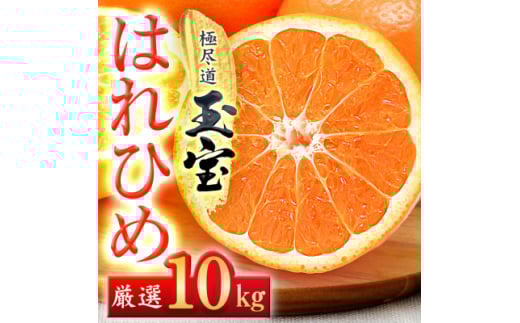 ＜愛媛名産＞玉宝はれひめ　10kg＜F64-72＞【1621817】 2110491 - 愛媛県八幡浜市