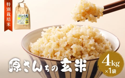 《先行予約》令和7年度産 原さんちの玄米 玄米 4kg 3種の中からいずれか1種お届け ひとめぼれ ヒノヒカリ にこまる 有機質肥料 特別栽培米 原農園 完熟堆肥 アートテン農法 抗酸化農法 有効微生物農法 光合成 体に良い 美味しい お米 安全 清潔 環境に優しい 栄養価 高品質 産地直送 健康志向 803277 - 大分県玖珠町