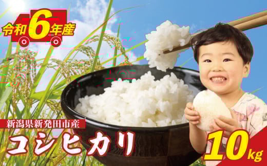 【令和6年産】 コシヒカリ 10kg 新潟県 米 こめ 白米 ご飯 おにぎり こしひかり 新発田産 新発田市 新潟 野口政一商店 noguchi004
