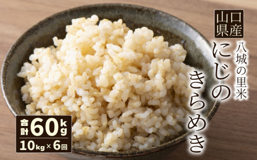 【先行予約】【定期便 6ヶ月】にじのきらめき 玄米 10kg  計60kg