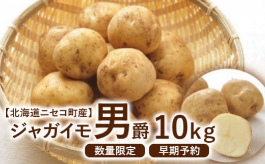 【北海道ニセコ町産】ジャガイモ 男しゃく LMサイズ 10kg <数量限定・2025年早期予約・10月より出荷予定>【0202502】 682081 - 北海道ニセコ町