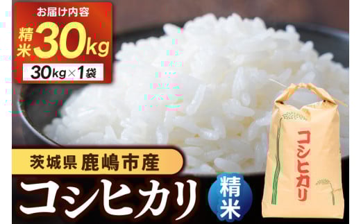 【先行予約】コシヒカリ３０kg (精米) 鹿嶋市産【こしひかり 茨城県 鹿嶋市 75000円以内】(KDS-3) 1997265 - 茨城県鹿嶋市