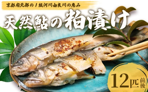天然鮎の粕漬け 12匹 【 由良川漁協 あゆ 鮎 アユ 魚 魚介 川魚 海鮮 漬け魚 粕漬け 酒粕 天然 大人 贅沢 おつまみ 酒の肴 珍味 綾部 京都 】 2108830 - 京都府綾部市