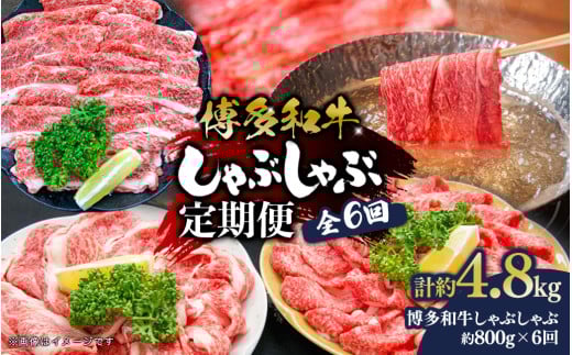 博多和牛 しゃぶしゃぶ 定期便全6回 肉 お肉 焼肉 牛 牛肉 和牛 しゃぶしゃぶ 焼きしゃぶ 前バラ トモバラ ジューシー 福岡県 八女市