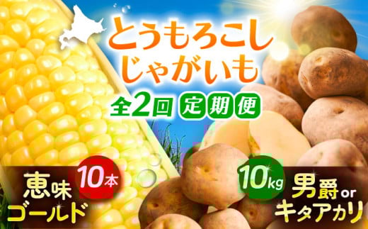 【全2回定期便】とうもろこし（10本）＆じゃがいも（10kg）《足寄町》【党崎農場】トウモロコシ とうもろこし 甘い 野菜 国産 新鮮 ジャガイモ じゃがいも 食べ比べ 芋 いも 定期便 北海道産 あしょろ 北海道 [BEAA008] 1266659 - 北海道足寄町