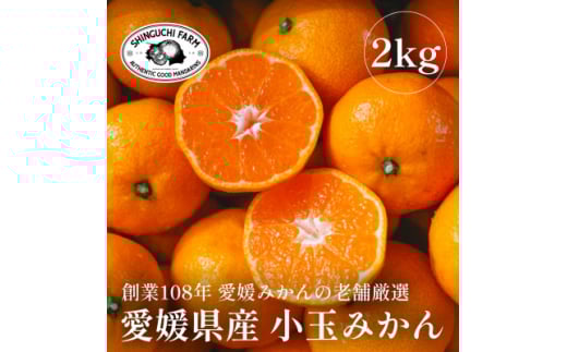 愛媛みかんの老舗厳選＜小玉 みかん2kg＞新口農園＜B70-75＞【1622614】 2110496 - 愛媛県八幡浜市