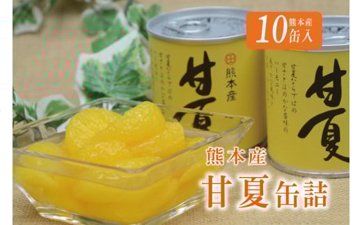 B45-12 甘夏缶詰(10缶入) 404168 - 熊本県芦北町
