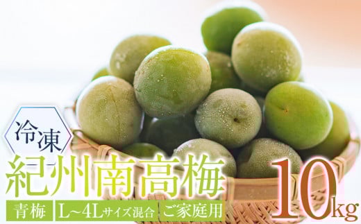 冷凍 紀州南高梅 青梅   約10kg   L～4Lサイズ混合 ご家庭用