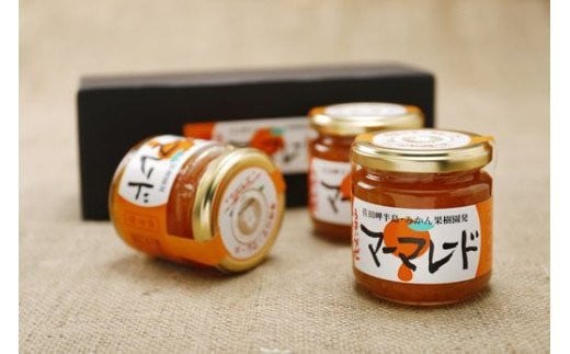 【愛媛県産】うまいがぜ伊方手作りマーマレード（200g×3個） 【 ふるさと納税 人気 おすすめ ランキング マーマレード いよかん 伊予柑 みかん ミカン 蜜柑 クリエイト伊方 愛媛県産 愛媛県 伊方町 送料無料 】 IKTI012 
