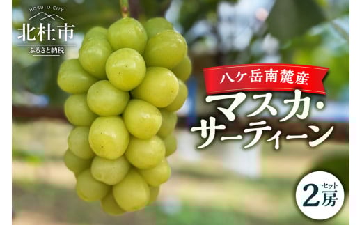 【2025年先行予約】八ケ岳南麓産「マスカ・サーティーン」  2025年 先行予約 ぶどう 2房 セット 約1kg 期間限定 数量限定 新品種 葡萄 ブドウ フルーツ 果物 弾力 大粒 甘い 山梨県 北杜市 八ヶ岳南麓