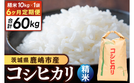 [先行予約][6ヶ月定期便]コシヒカリ10kg×6回 (精米) 鹿嶋市産[こしひかり 茨城県 鹿嶋市 150000円以内](KDS-11)