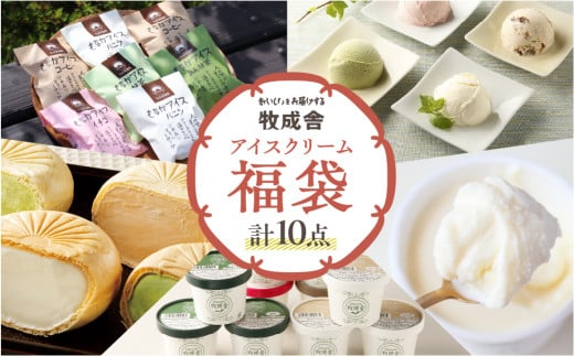 訳あり≪牧成舎≫コロナに負けない！飛騨のミルクの旨味たっぷりアイスクリーム福袋 10点セット 味お任せ アイス アイスクリーム 国産 飛騨市 生乳 人気 おすすめ 冷凍 福袋 飛騨市 2130082 - 岐阜県飛騨市