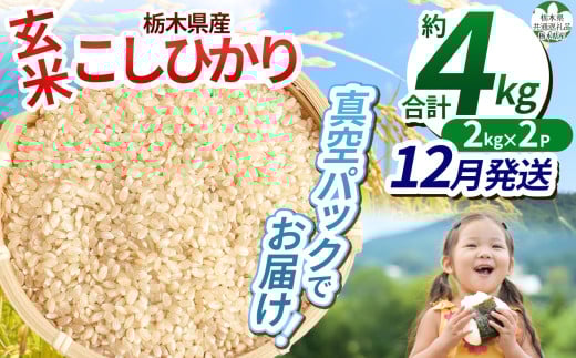【先行予約】【令和7年度新米】【毎月500個限定！】【栃木県共通返礼品】 栃木県産こしひかり 2kg×2（玄米真空パック）12月分 | 新米 こしひかり 玄米 米 ごはん  冷めてもおいしい ふるさと納税 那珂川町 栃木県