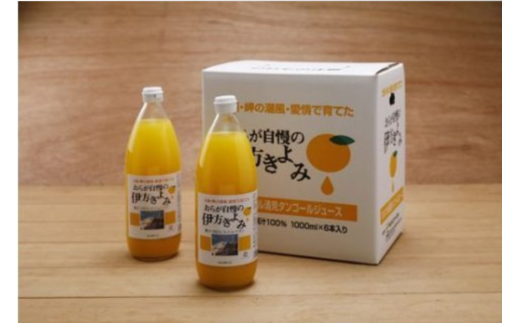 【愛媛県産】おらが自慢の伊方きよみジュース（1000ml×6本） ストレート果汁100％ 【 ふるさと納税 人気 おすすめ ランキング みかん ミカン 蜜柑 ジュース みかんジュース ミカンジュース クリエイト伊方 愛媛県 伊方町 送料無料 】 KTI009 