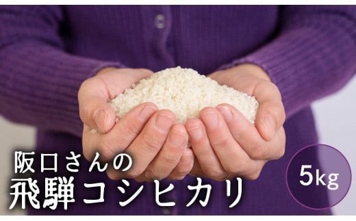 特別栽培米 令和7年産 飛騨産 コシヒカリ 5kg 単品 米 新米 阪口農園  特A こしひかり 阪口農園 米 白米 こめ コメ ごはん 飛騨市 5キロ 14000円［Q1839_25] 2124761 - 岐阜県飛騨市