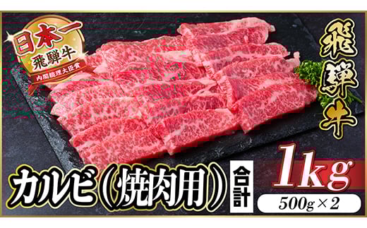 飛騨牛 カルビ 焼肉　1kg【1487353】 1302748 - 岐阜県羽島市