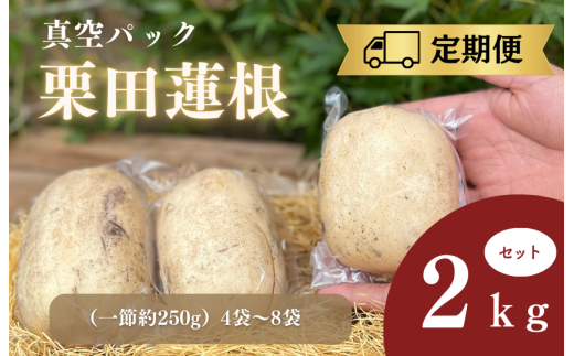 定期便(9月~翌年3月)真空パック栗田蓮根2キロセット 2115777 - 茨城県鉾田市