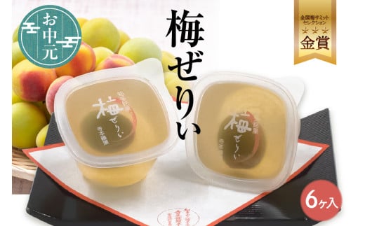 [お中元 対応可能]知多銘菓 梅ぜりぃ 6ヶ入 / 和風ゼリー うめ ウメ 土産 愛知県 特産品