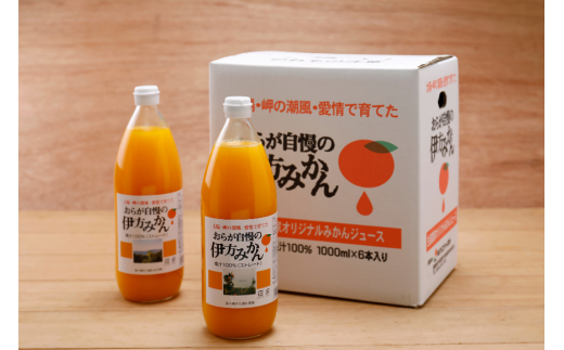 【愛媛県産】おらが自慢の伊方みかんジュース（1000ml×6本）ストレート果汁100％ 【 ふるさと納税 人気 おすすめ ランキング みかん ミカン 蜜柑 ジュース みかんジュース ミカンジュース クリエイト伊方 愛媛県 伊方町 送料無料 】 IKTI008 