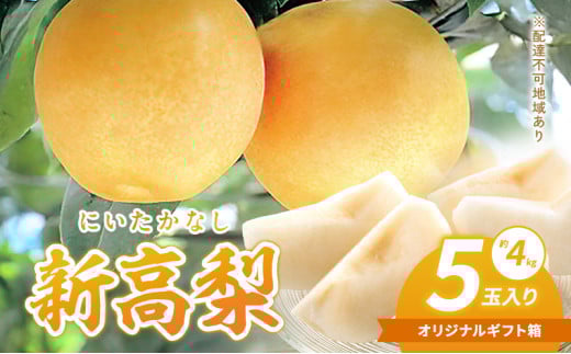 梨 2025年 新高梨(にいたかなし)オリジナルギフト箱 5玉入り(約4kg)赤磐市赤坂産 なし フルーツ 果物