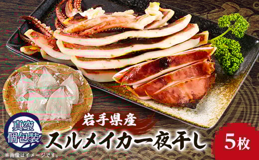 スルメイカの一夜干し5枚セット【1527275】 1492707 - 岩手県宮古市