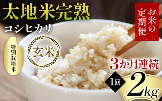お米の定期便 特別栽培米 太地米完熟 【こしひかり】 玄米2kg×3か月連続 ブランド米 お米 人気 F7X-0368 2153734 - 福島県須賀川市