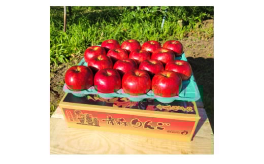 ＜訳あり＞青森県産りんご「サンつがる　家庭用」約5kg　産地直送!【1513092】 2110500 - 青森県青森市