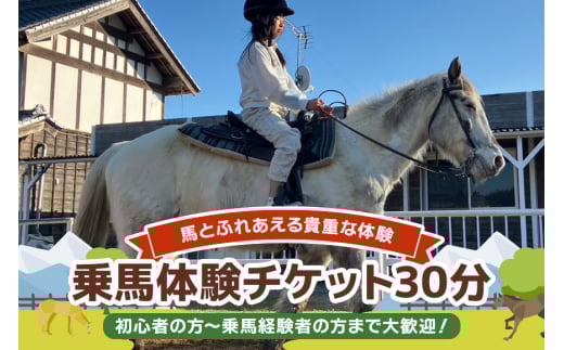 ★ROCKY★ 乗馬体験チケット 30分 体験 チケット 券 乗馬 馬 うま ウマ 子供 大人 初心者 経験者 歓迎 92-B 2117222 - 茨城県小美玉市