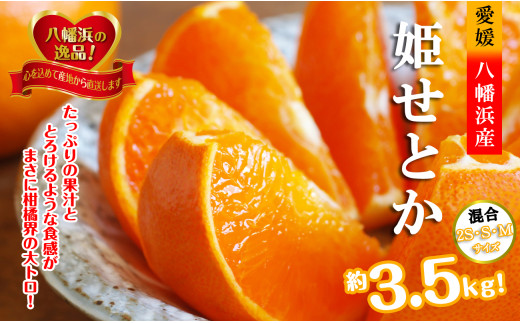 2026年2月発送開始　みずみずしい香り・柑橘の大トロ!「姫せとか」約3.5kg＜D39-60＞【1583778】