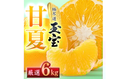 ＜愛媛名産＞玉宝甘夏　6kg＜C64-74＞【1621819】 2110493 - 愛媛県八幡浜市