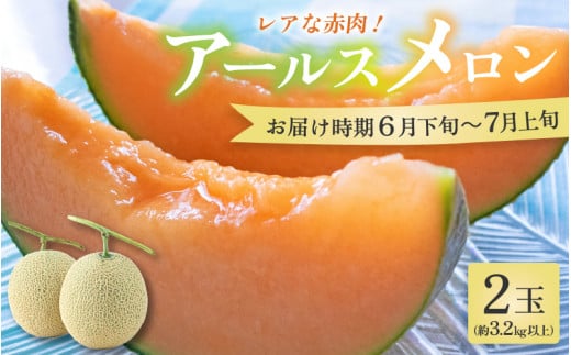 【先行予約】【赤肉】アールスメロン 2玉（約3.2kg以上）赤肉品種 高級メロン！ ／ マスクメロン 大玉 果物 フルーツ 夏 ギフト 農家直送 ※2025年6月下旬以降順次発送 [aw065-a012]