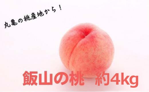 【先行予約】桃 約 4kg もも モモ 白桃 ピーチ 果物 くだもの フルーツ 果実 飯山の桃 旬 新鮮 箱入り 冷蔵 贈答 ギフト プレゼント お中元 香川県丸亀市