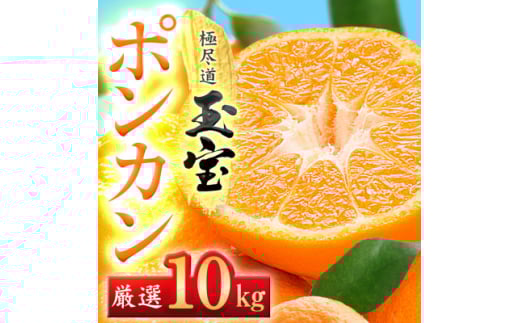 ＜愛媛名産＞玉宝ポンカン　10kg＜F64-66＞【1621808】 2110485 - 愛媛県八幡浜市