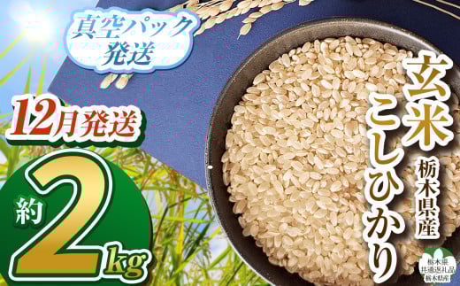 【栃木県共通返礼品】【先行予約】【数量限定】【12月発送】毎月500個限定！令和7年度新米 栃木県産こしひかり（玄米真空パック）2kg  |  ふるさと納税 お米  米 精米 白米 玄米 大粒  お買い得 送料無料 下野市