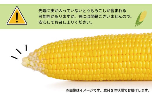 千葉県銚子市のふるさと納税 先行予約 とうもろこし 20本 約7kg 銚子産 トウモロコシ コーン 野菜 やさい 旬 旬の野菜 朝採り 朝採れ 国産 産地直送 小分け 冷蔵 大容量 人気 期間限定 健康 ビタミン 美容 BBQ キャンプ お取り寄せ グルメ 贈答 プレゼント ギフト コーンスープ 炊き込みご飯 ふるさと納税 ふるさと納税とうもろこし ふるさと納税野菜 送料無料 千葉県 勘兵衛 【7月中旬~8月上旬発送予定】