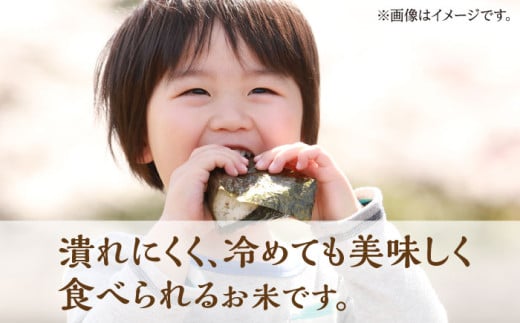 熊本県山鹿市のふるさと納税 【先行予約】【数量限定】ヒノヒカリ 白米 10kg （5kg×2袋）【竹下農園】ひのひかり ごはん 熊本 10キロ 精米 名水 [ZEL001]