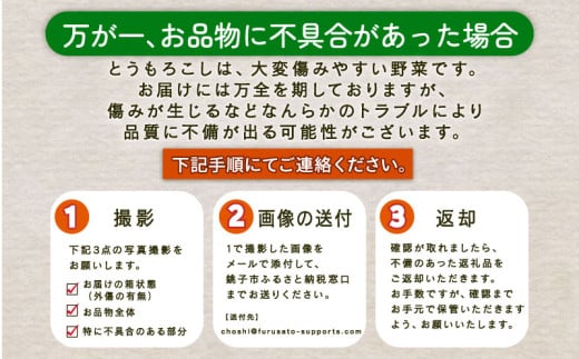 千葉県銚子市のふるさと納税 先行予約 とうもろこし 20本 約7kg 銚子産 トウモロコシ コーン 野菜 やさい 旬 旬の野菜 朝採り 朝採れ 国産 産地直送 小分け 冷蔵 大容量 人気 期間限定 健康 ビタミン 美容 BBQ キャンプ お取り寄せ グルメ 贈答 プレゼント ギフト コーンスープ 炊き込みご飯 ふるさと納税 ふるさと納税とうもろこし ふるさと納税野菜 送料無料 千葉県 勘兵衛 【7月中旬~8月上旬発送予定】