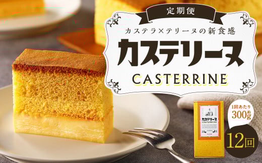 【全12回定期便】長崎カステリーヌ 1本 ／ タナカヤ カステラ かすてら スイーツ デザート お菓子 菓子 長崎県 長崎市 1544530 - 長崎県長崎市