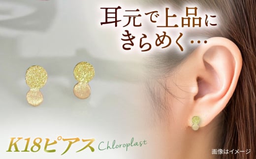 K18 まる ピアス ダイヤタガネ 糸島市 / Chloroplast / クロロプラスト ジュエリー [ALF013]