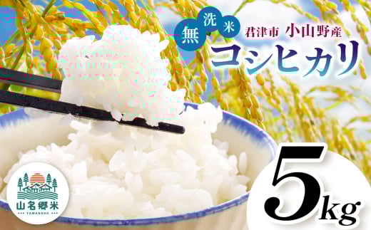 【 先行予約 】 8月下旬から順次発送 無洗米 令和7年産 君津市小山野産 コシヒカリ 5kg | 新米 メディアで紹介 ！ あかかげ農園 山名郷米 メディアで紹介 ！ 千葉稲作 しんまい シンマイ こしひかり 千葉県産 むせんまい 米 コメ こめ お米 千葉県 君津市 きみつ 1463320 - 千葉県君津市