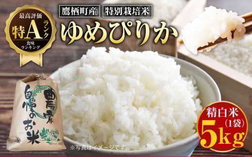 【令和7年産】ゆめぴりか （精白米）特Aランク 5kg  北海道 鷹栖町  お米 ゆめぴりか 【2025年9月下旬より発送予定】 2112068 - 北海道鷹栖町