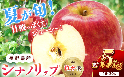 南信州産 シナノリップ 秀品 約5kg 16～20玉 ＪＡみなみ信州ＤＭセンター飯田市 | シナノリップ りんご 林檎 リンゴ 果物 フルーツ 果汁 信州 南信州 送料無料 ふるさと納税 長野県 飯田市 2096138 - 長野県飯田市