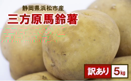 静岡県浜松市産 訳あり 三方原馬鈴薯 5kg 男爵 じゃがいも じゃが芋 ジャガイモ 国産 野菜 浜松市 [№5360-0543]