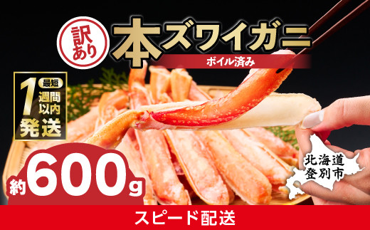 [最短1週間以内出荷]訳あり 冷凍 ボイル ずわいがに 足 600g ズワイガニ ハーフポーション | ギフト 2025